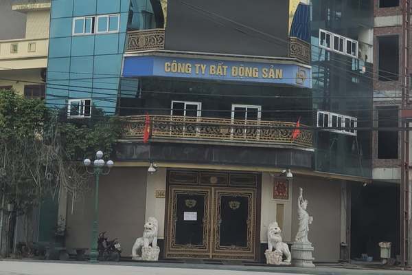 Công ty bất động sản của Nguyễn Xuân Đường đóng thuế 0 đồng