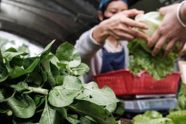 LHQ cảnh báo nguy cơ nạn đói lan tràn sau đại dịch Covid-19