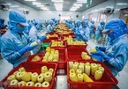 Vietnamese businesses go online to survive pandemic