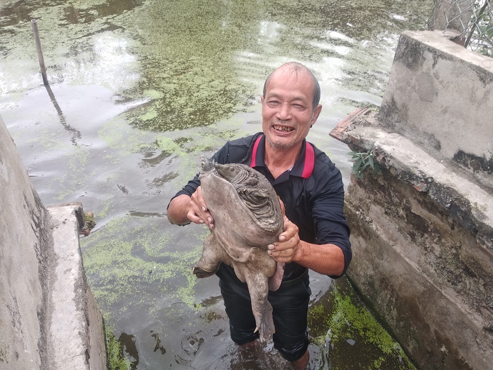 Kỹ thuật nuôi ba ba  Hướng dẫn từ A  Z bởi các chuyên gia hàng đầu