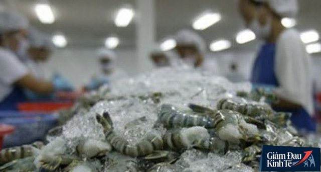 Shrimp demand rises but Vietnamese processors lack materials