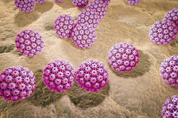Loại virus nguy hiểm gây ung thư bộ phận sinh dục cả nữ và nam
