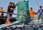 Trung Quốc ngang ngược áp đặt lệnh cấm đánh bắt cá ở Biển Đông