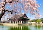 Photo contest helps recall memories of travel to South Korea