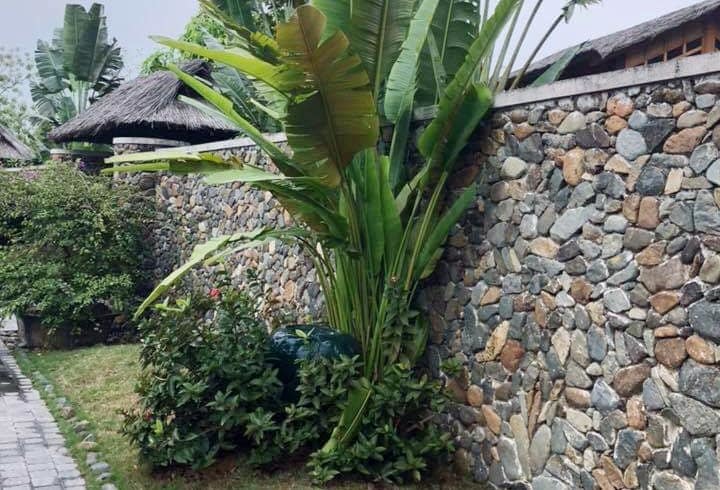 Bạn trai tặng nhà nhưng suốt 2 năm không chịu sang tên