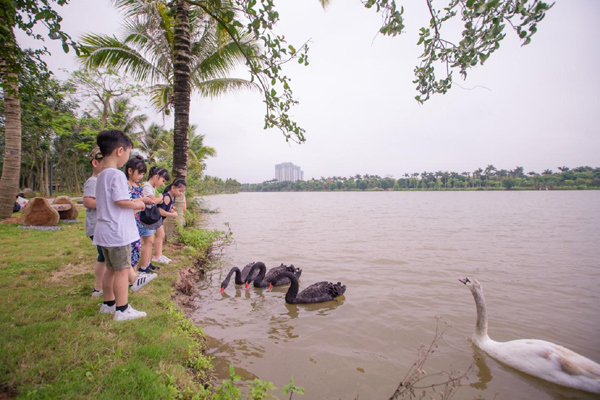 Bé trai chết sống lại xin nước uống rồi chết hẳn