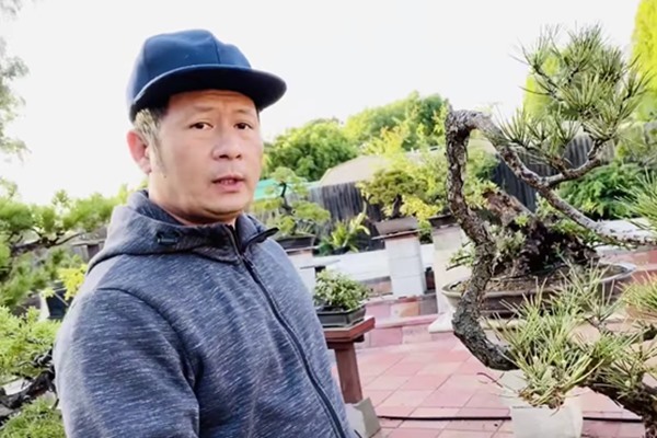 Bằng Kiều cắt tỉa và tạo dáng vườn cây cảnh bonsai đồ sộ ở Mỹ