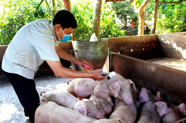 Vietnam to promote pig farming