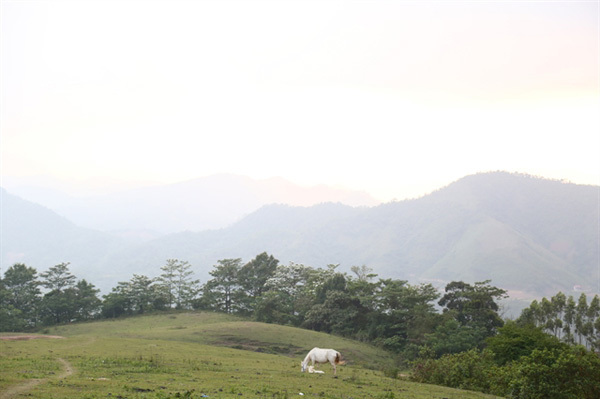 In the kingdom of Huu Kien white horses