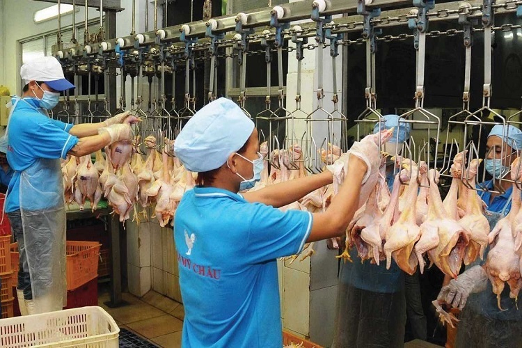 Vietnam to export more chicken products