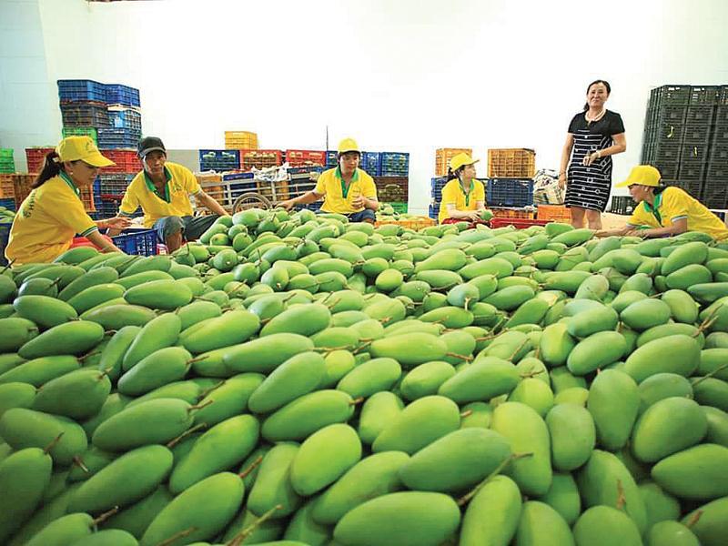 Đổ dốc bất ngờ, nỗi lo lớn về 7 thế mạnh  Việt Nam