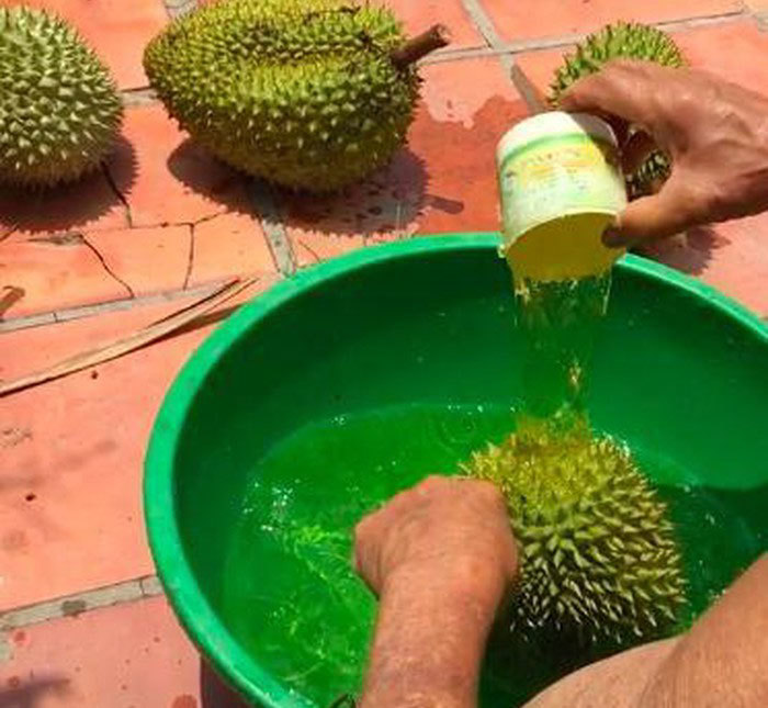 Sầu riêng nhúng thuốc đem đi bán: 'Không nhúng không dám bán'