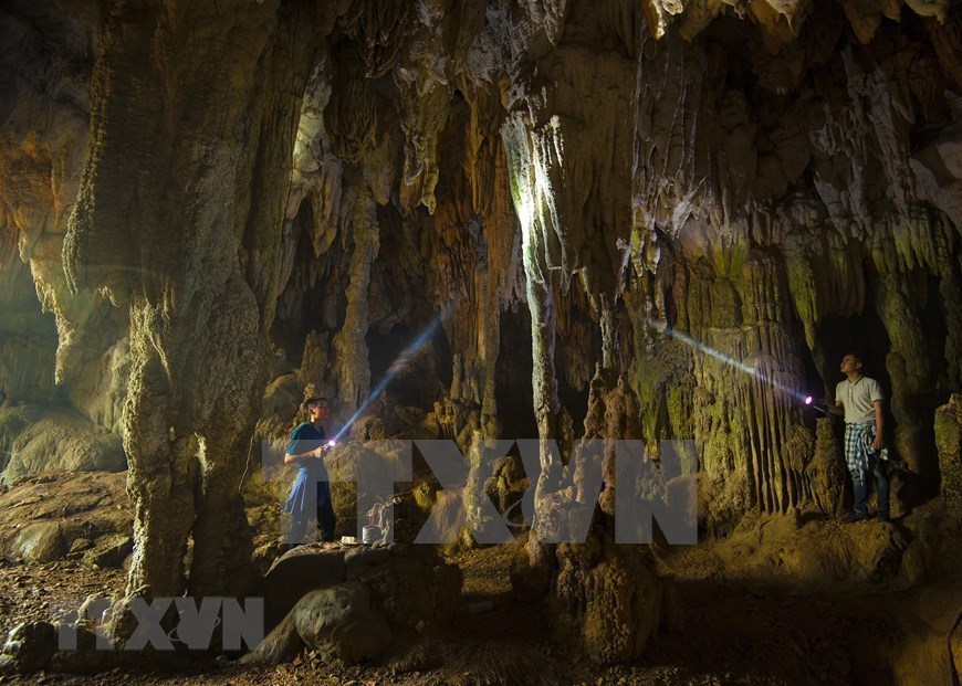 Tra Tu Cave in Ninh Binh province