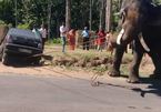 Ô tô Maruti 800 bị mắc kẹt bên đường phải nhờ voi đến giải cứu
