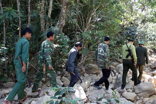 Dân vùng lõi Quảng Trị thoát nghèo bền vững nhờ dựng chòi bảo vệ rừng