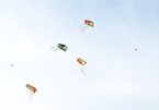 Multi-tasker: HCM City man can fly four kites at a time