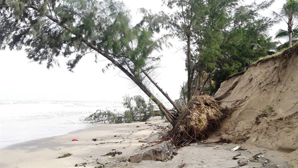 Underwater dyke set to save Cua Dai beach from erosion