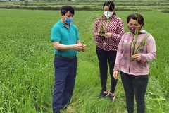 Từ nông dân nghèo thành giám đốc HTX lớn ở Quảng Ninh