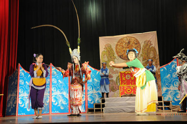 Cai luong needs state support