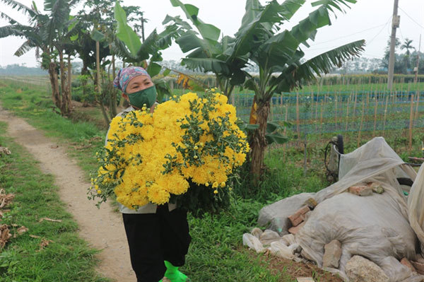 Flower village to revive production