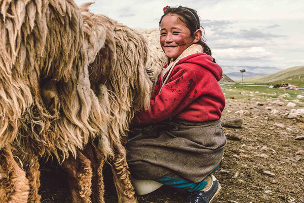 Cuộc sống như phim của những người du mục cuối cùng ở Mông Cổ