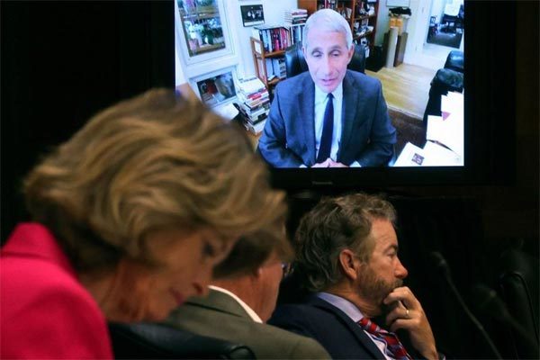 Cố vấn y tế hàng đầu Mỹ điều trần về cách ứng phó Covid-19 của chính quyền Trump