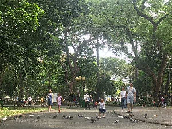 HCM City policy would encourage couples to have more than one child