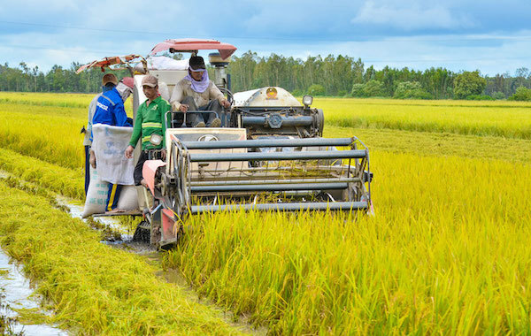 Đề xuất miễn 75.000 tỷ đồng tiền thuế cho hàng triệu nông dân