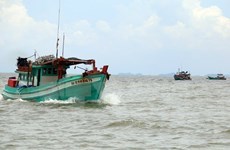 Fishermen stay within Vietnam’s territorial waters