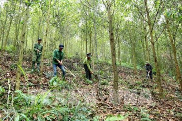 Trích khấu hao tài sản cố định cho doanh nghiệp