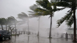 Typhoon Vongfong kills four in Philippines