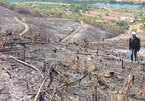 Forest manager involved in Quang Nam severe forest fire