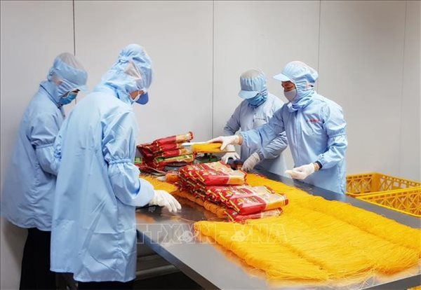 Debt guarantee: light at the end of tunnel for Vietnamese SMEs