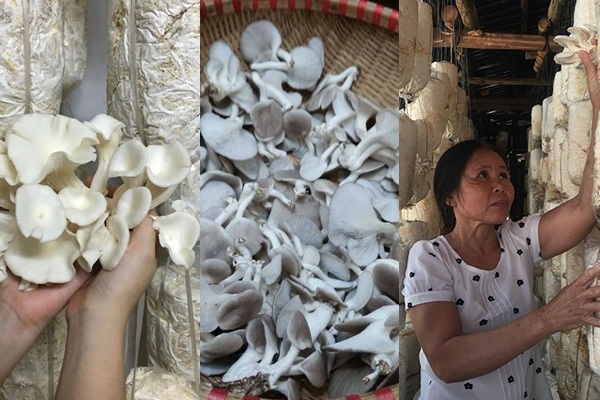 Hóng chuyện trên tivi, 3 năm sau chị Toan bỗng thoát nghèo