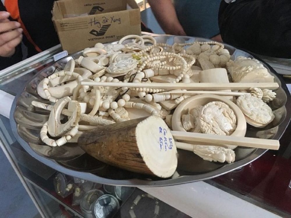Elephants disappear as demand for ivory increases