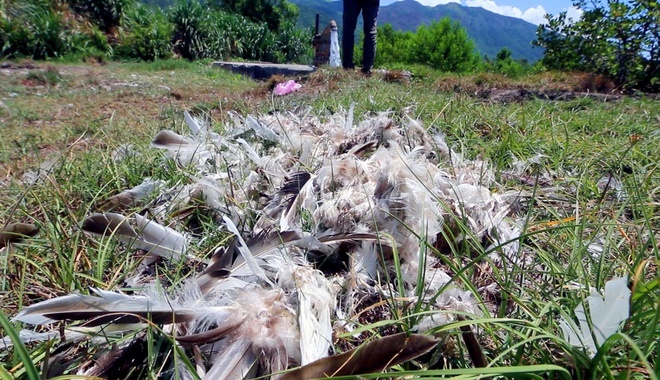 Mỏ nước khoáng nóng bỏ hoang hơn 20 năm thành nơi nhổ lông gà, vịt