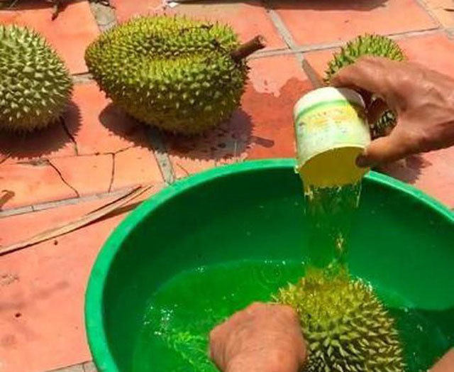 Khi mua sầu riêng, ấn nhẹ vào cuống để thấy dấu hiệu chín tự nhiên