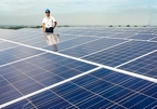 Renewable energy market picks up as many projects put on sale