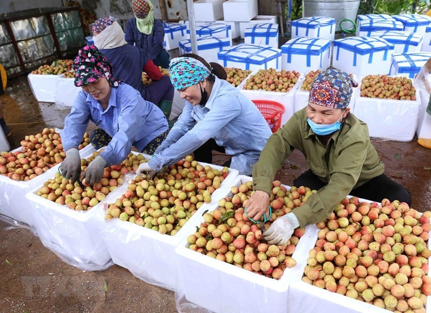 VIETNAM BUSINESS NEWS DECEMBER 5