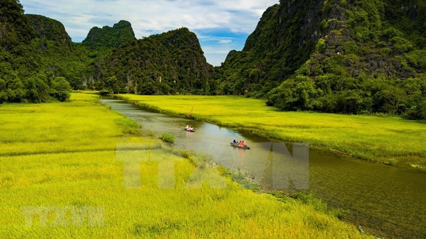 Tam Coc – Bich Dong blanketed with ripen paddy fields