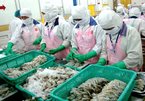 Shrimp exporters see bright future despite Covid-19