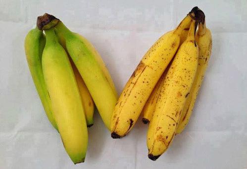 Nhìn màu sắc cuống biết ngay chuối bị chín ép bằng thuốc diệt cỏ