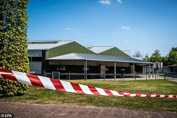 Hà Lan công bố ca nhiễm Covid-19 lây từ chồn