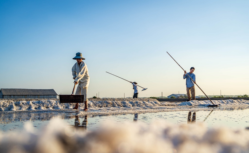 Nét đẹp lao động trên đồng muối Long Điền