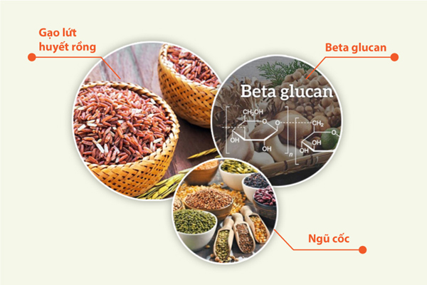 Thực dưỡng miễn dịch - Giải pháp tăng cường sức khỏe cho cả gia đình