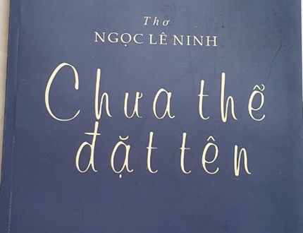 'Tôi thích sự táo bạo trong lao động con chữ của Ngọc Lê Ninh'