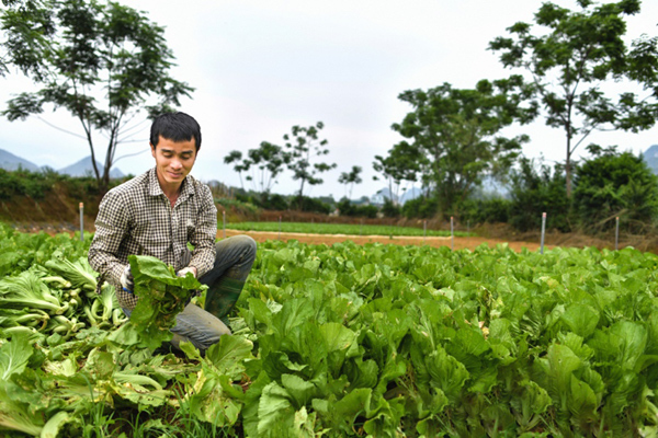 Những ‘sứ giả’ truyền năng lượng sống tích cực vượt Covid-19