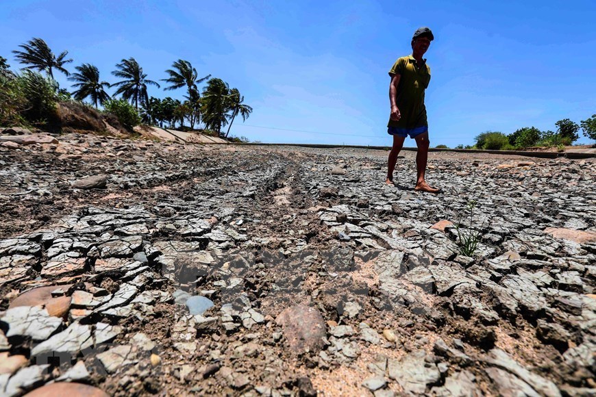 Ninh Thuan faces severe drought
