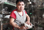 Disabled man earns good income from raising pigeons