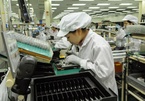 Vietnam needs to proactively seek high-quality FDI: economist